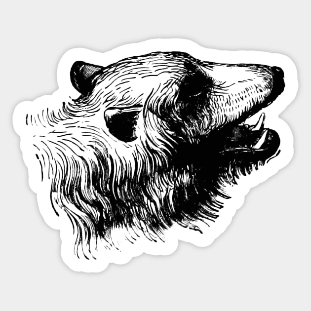 Vintage Bear Sketch Sticker by Vintage Sketches